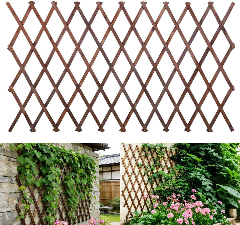 Expandable Wooden Lattice Trellis