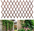 Expandable Wooden Lattice Trellis