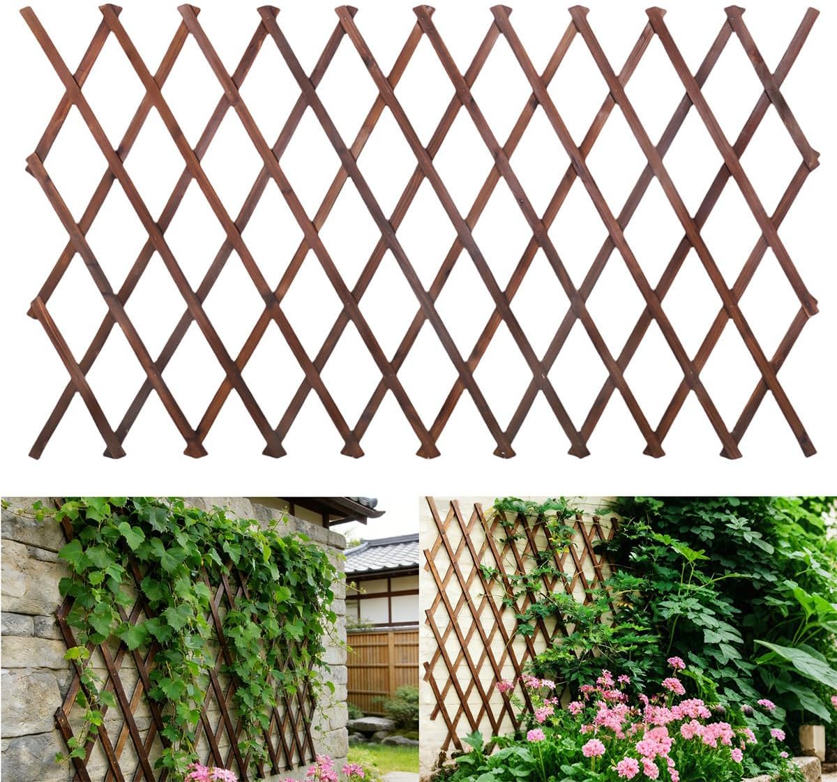 Expandable Wooden Lattice Trellis