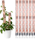 Modular Wooden Plant Trellis Sets