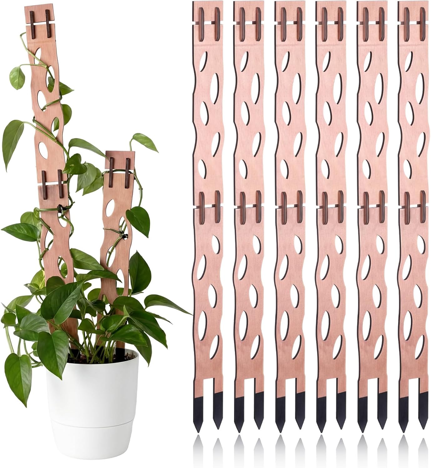 Modular Wooden Plant Trellis Sets