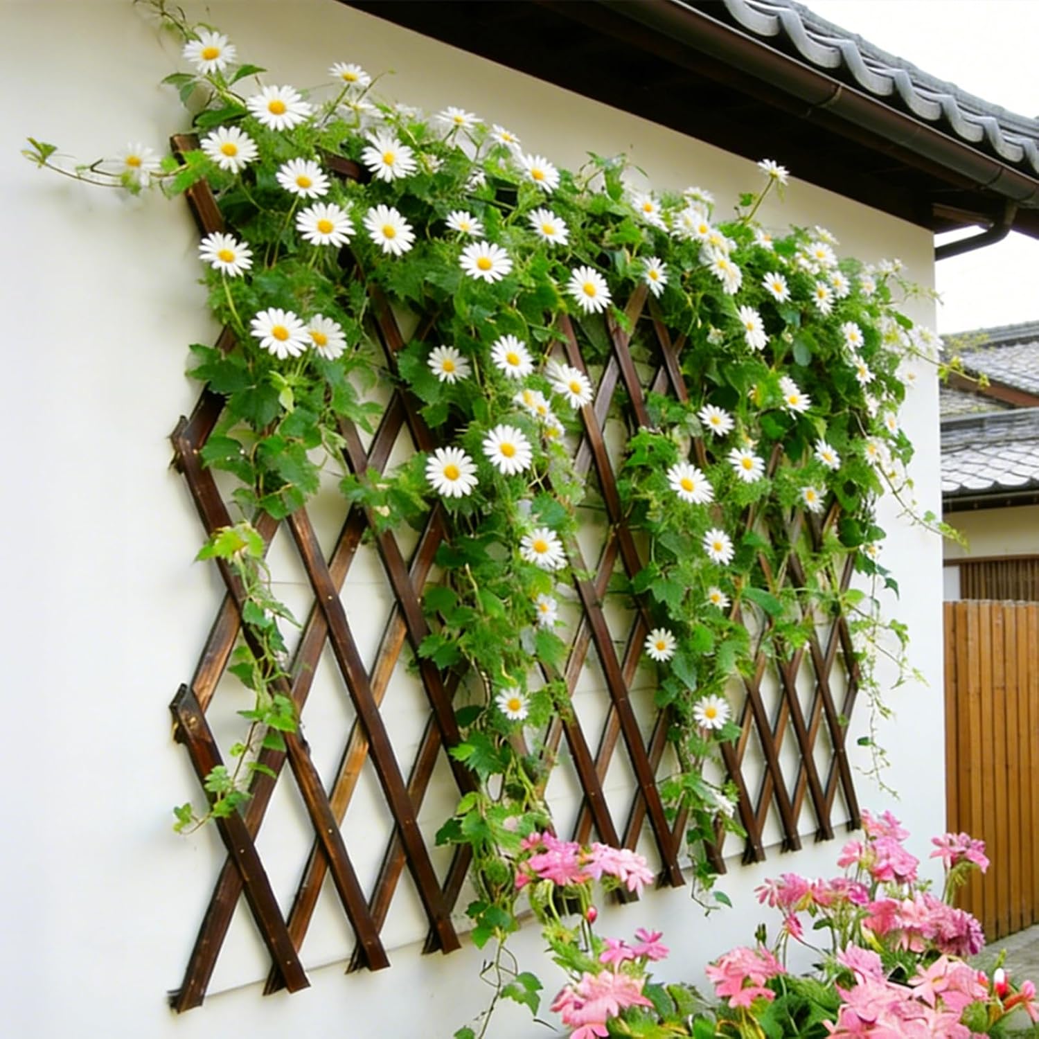 Expandable Wooden Lattice Trellis