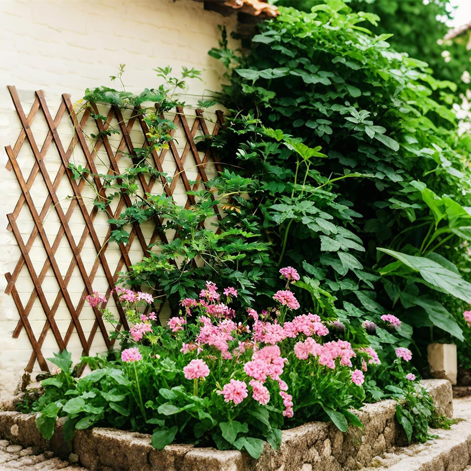 Expandable Wooden Lattice Trellis