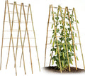 Foldable A-Frame Bamboo Trellis