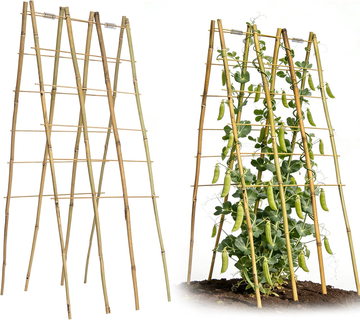 Foldable A-Frame Bamboo Trellis