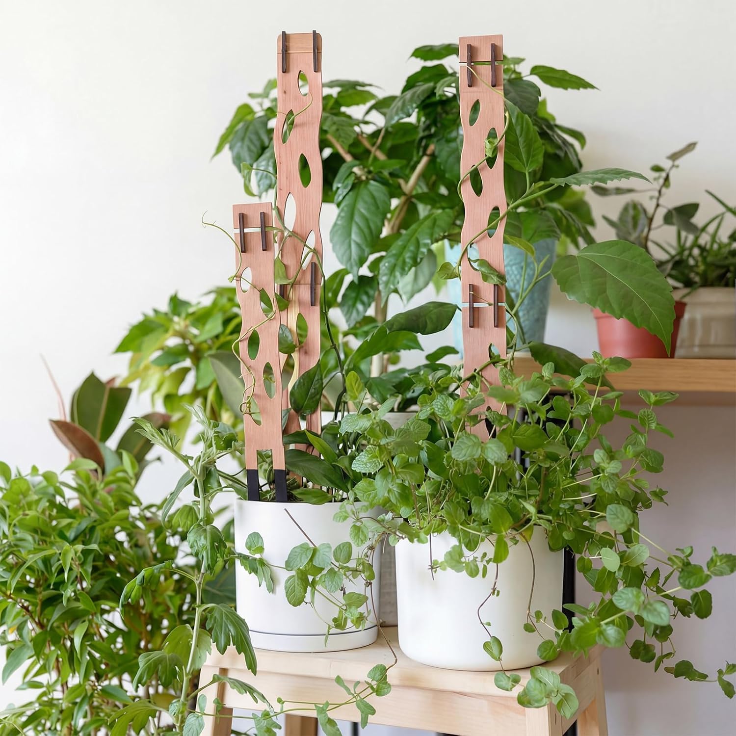 Modular Wooden Plant Trellis Sets