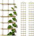 Bamboo Ladder Climbing Plant Trellis