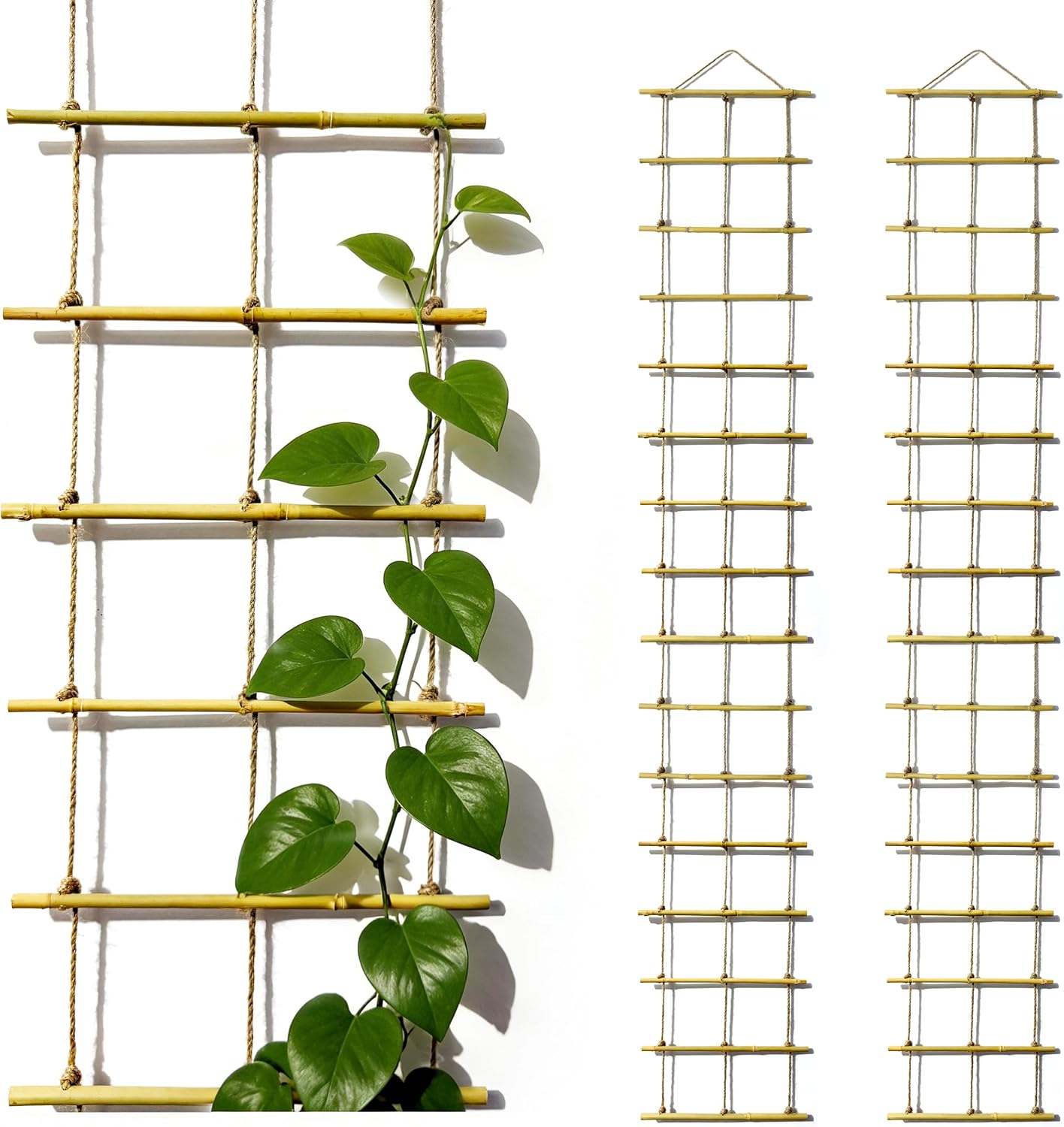 Bamboo Ladder Climbing Plant Trellis
